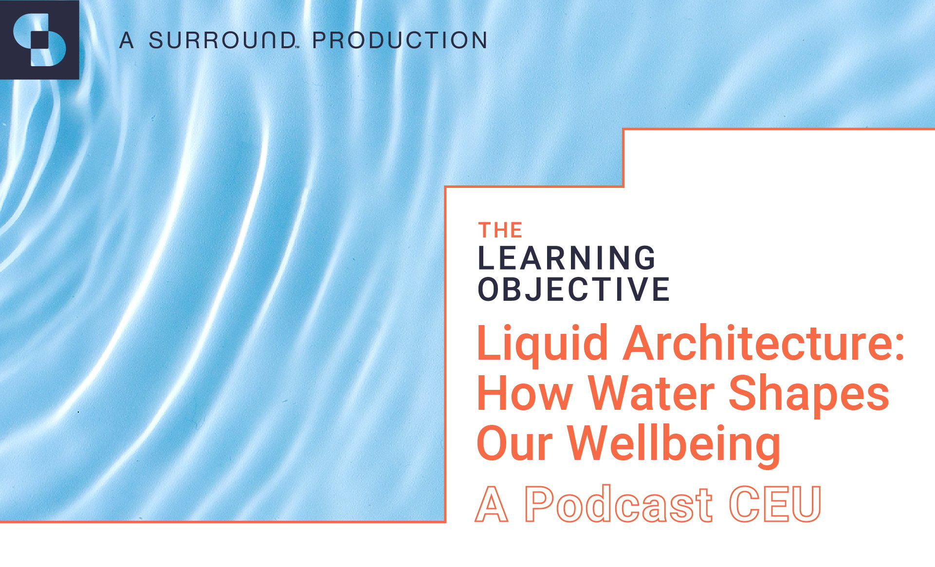 Liquid Architecture How Water Shapes Our Wellbeing